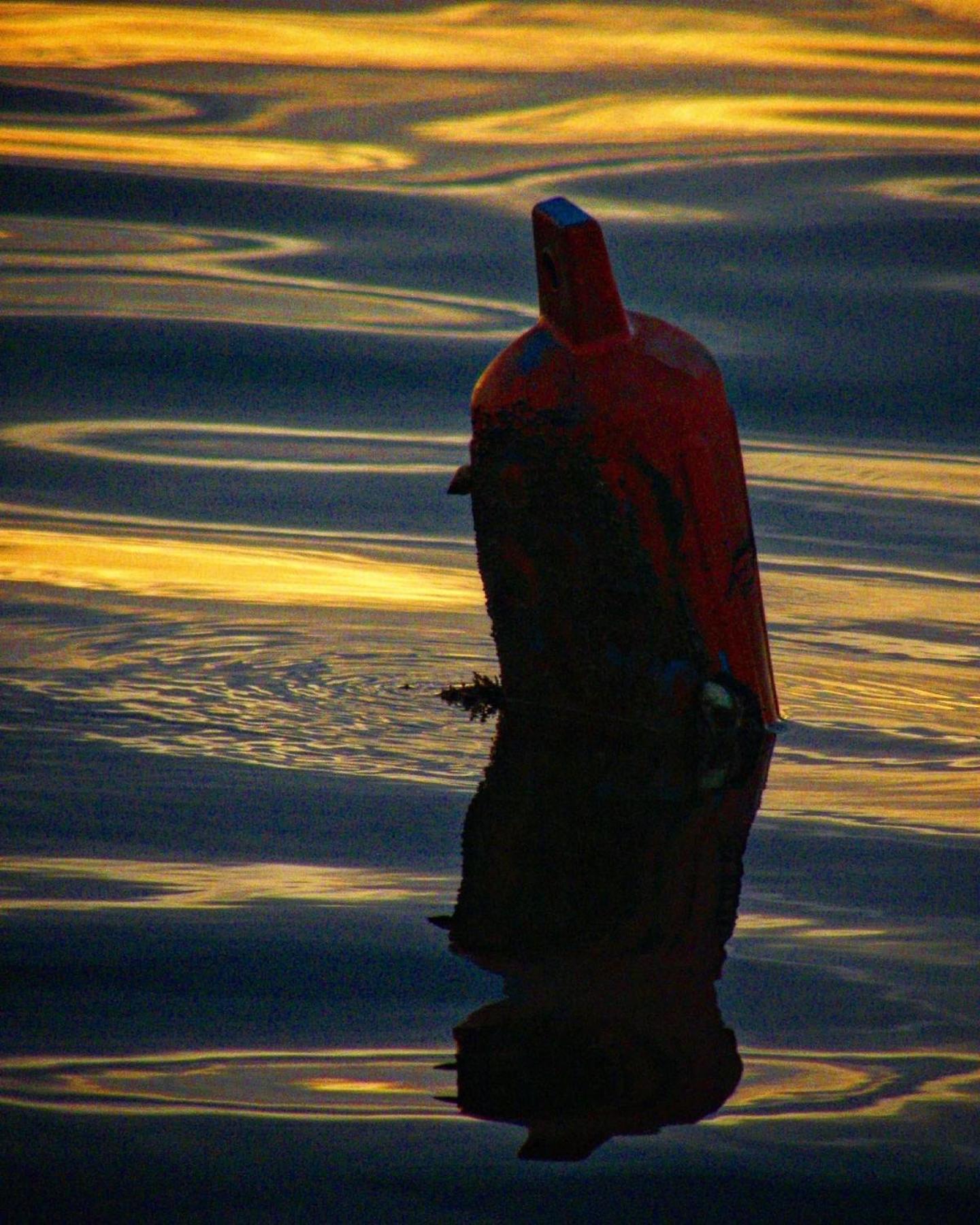 Barrbra Bnb Over The Sea Bocas del Toro Exteriör bild